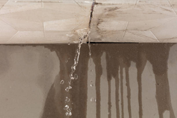 Professional Water Damage Inspection technician working in Goldfield, IA